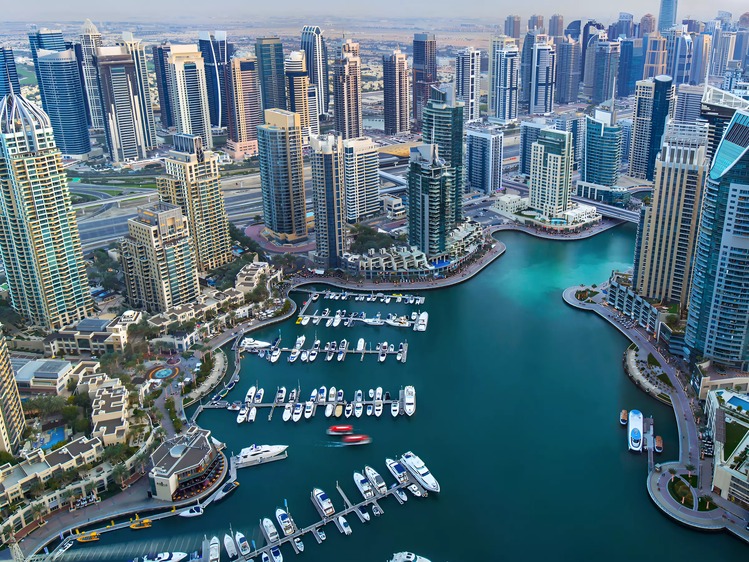 Image 8 of Pelagos by Invest Group Overseas