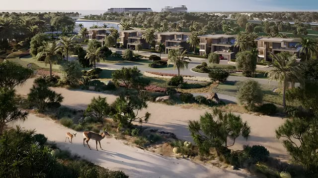 Jacob & Co. Beachfront Living by Ohana Real Estate Development - View Image 4 Jacob & Co. Beachfront Living - Ohana Real Estate Development Development - Image 4 of 5